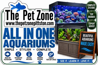 All In One Aquariums