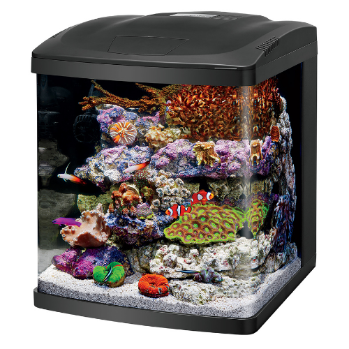 Coralife BioCube 32 gallon