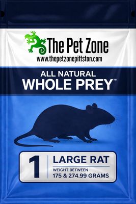 Frozen Rat Large