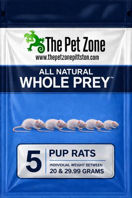 Frozen Rat Pup 5 Pack