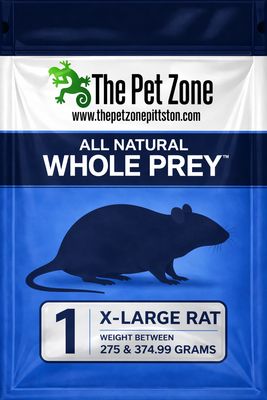 Frozen Rat X-Large