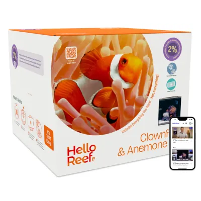 HelloReef Clownfish &amp; Anemone Aquarium Kit
