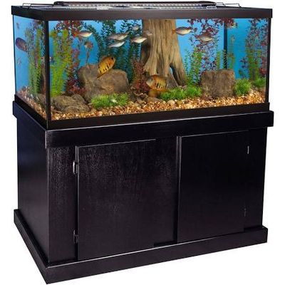 75 Gallon Aquarium and stand