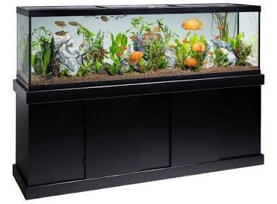 125 Gallon Aquarium and stand