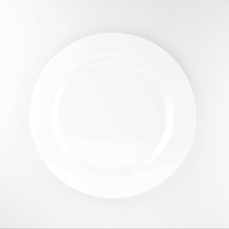 10.5'' Dinner Plate, - 1 PIECE SAMPLE  -