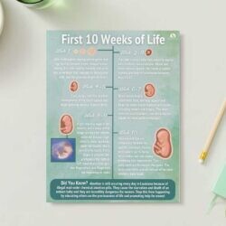 "First 10 Weeks of Life" Flyer Bundle