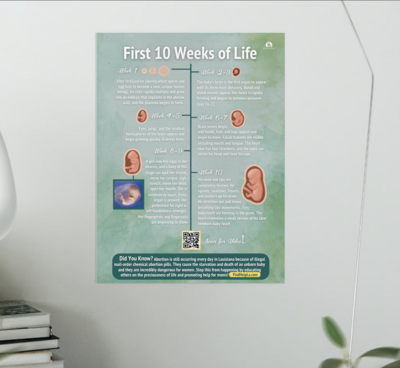 "First 10 Weeks of Life" 12" x 18" Poster