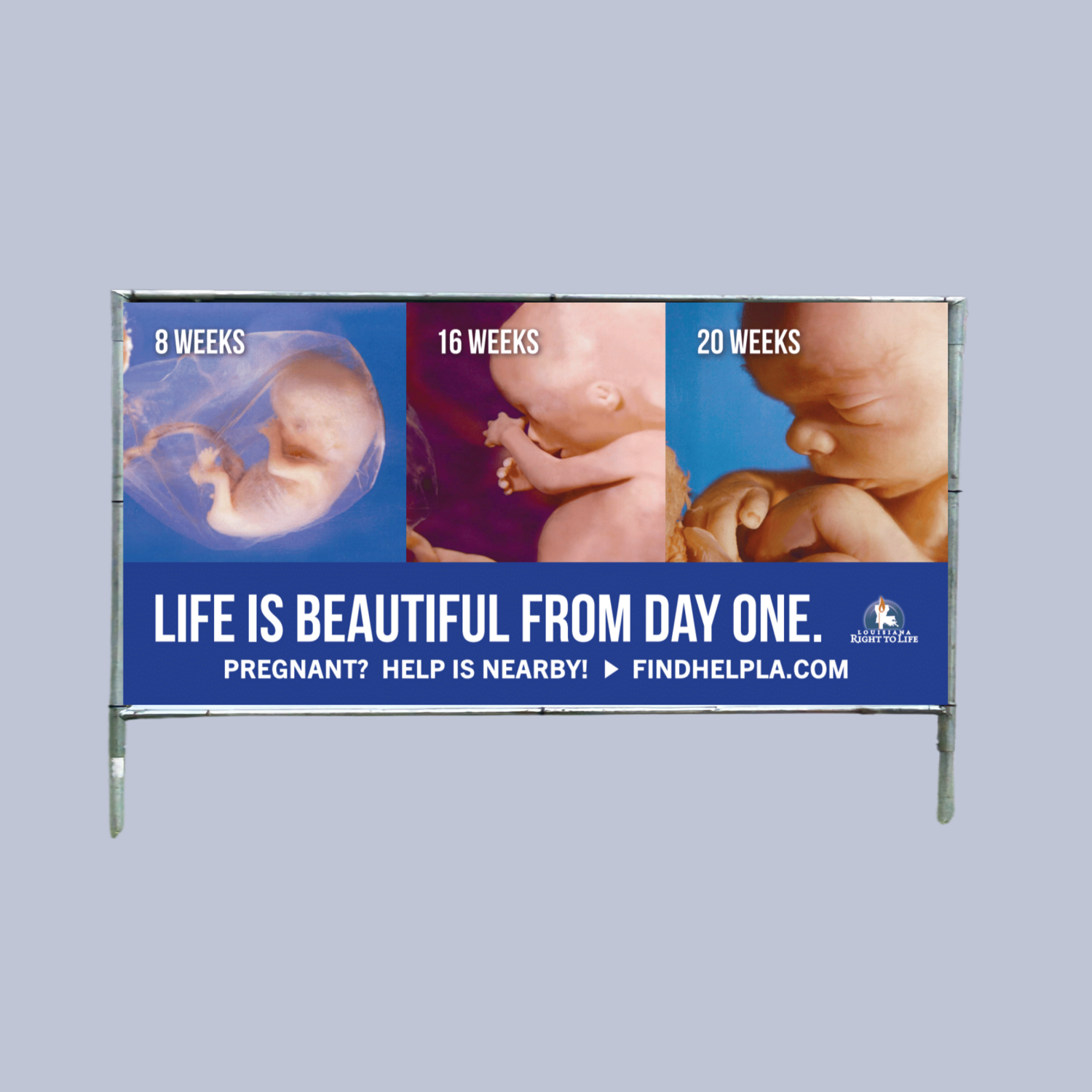 Optional Add-On: 4' x 8' Metal Frame