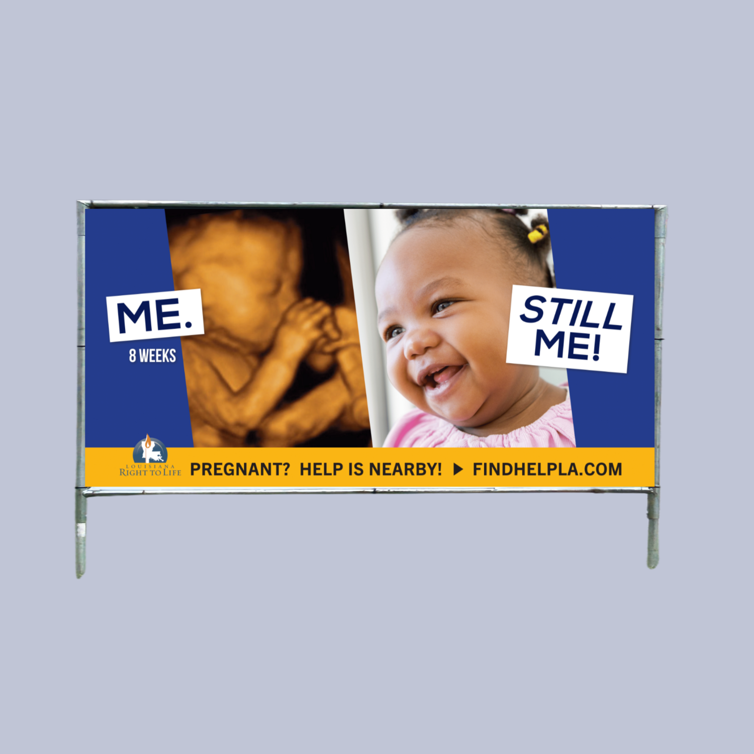 Optional Add-On: 4' x 8' Metal Frame