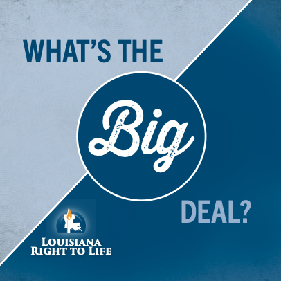 What's the Big Deal? Educational Booklet