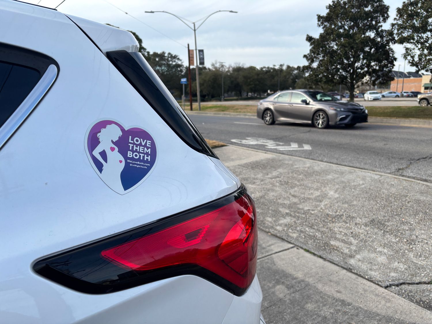 Love Them Both Pro-Life Bumper Magnet