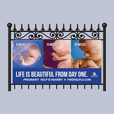Life is Beautiful from Day One