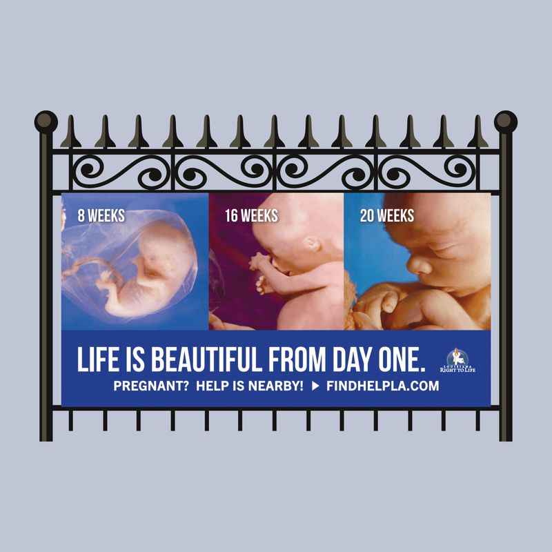 Life is Beautiful from Day One