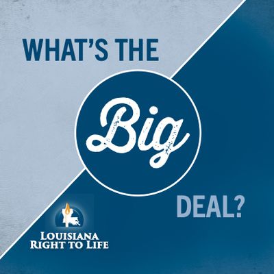 What's the Big Deal? Educational Booklet (Back-Order)