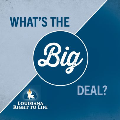 What's the Big Deal? Educational Booklet (Back-Order)