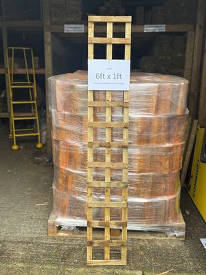 6x1ft Trellis