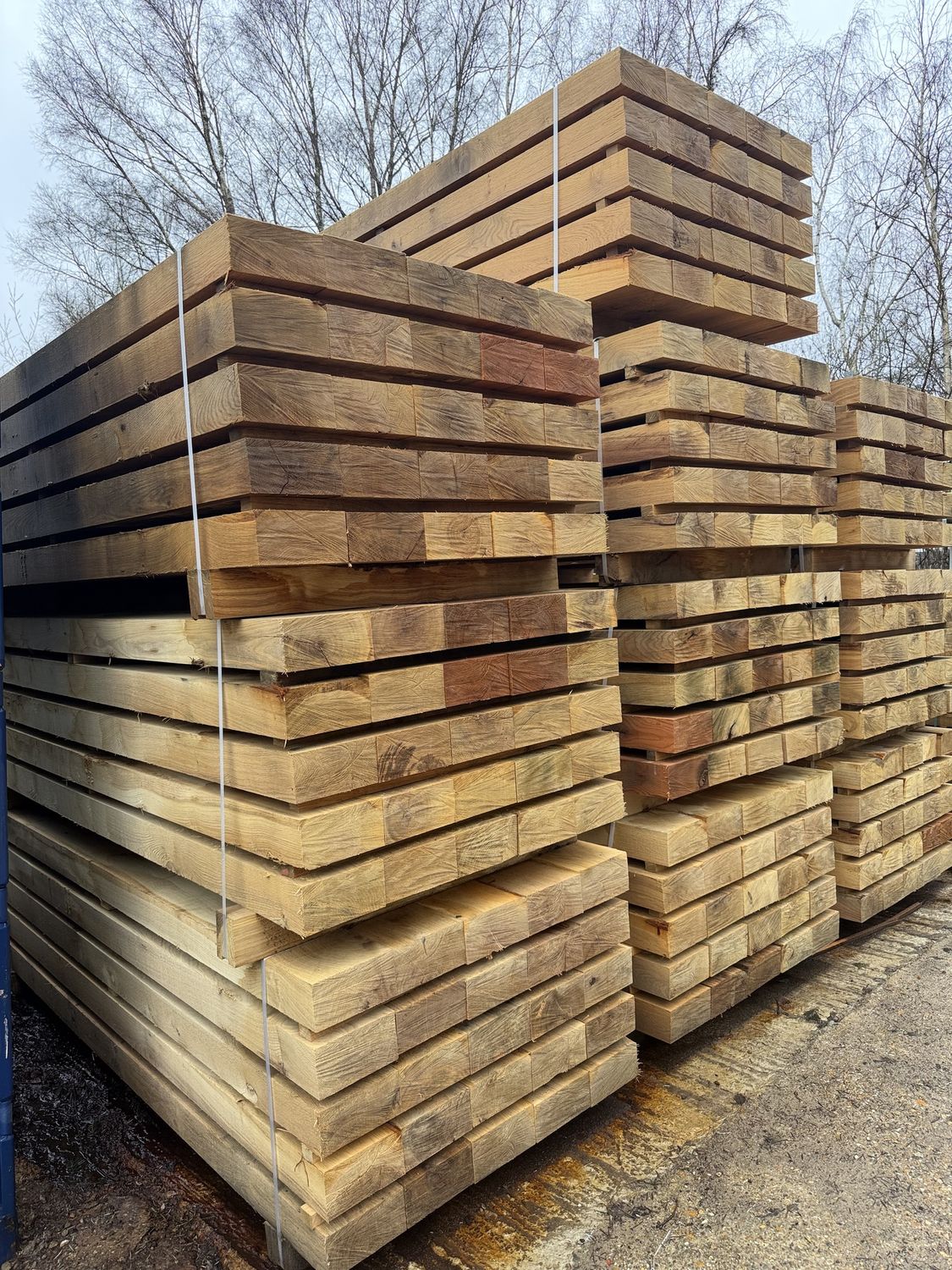 WHOLESALE PACK - 25 - 100x200x2400mm New OAK HARDWOOD Sleepers