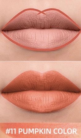 Hard To Decolor Double Head Rotary Matte Lip Pen