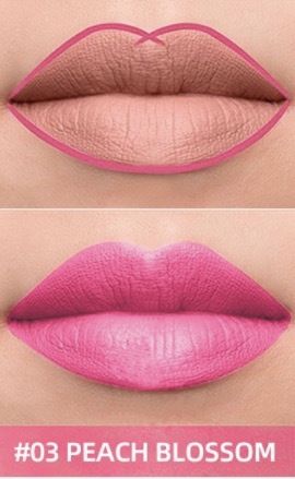 Hard To Decolor Double Head Rotary Matte Lip Pen