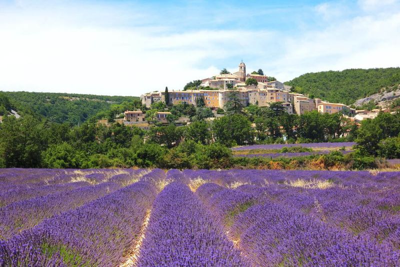 Provence Gourmet Evening - Thursday 2nd July 2026