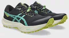 Men's Fuji Lite 6 - Black/Aurora Green