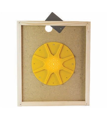 Apiscampo a stella su tavoletta