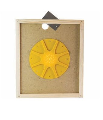 Apiscampo a stella su tavoletta