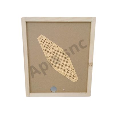 Apiscampo losanga su tavoletta arnia 10 favi