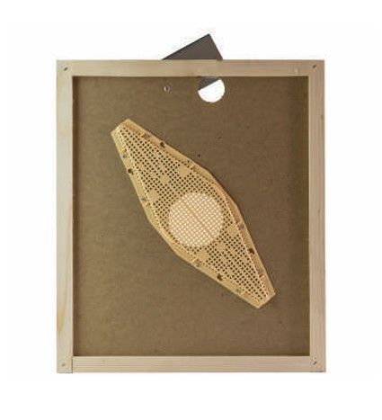 Apiscampo losanga su tavoletta