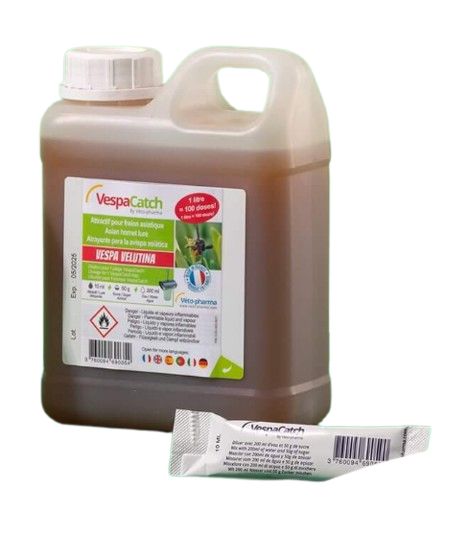 VespaCath attrattivo VespaCath attrattivo