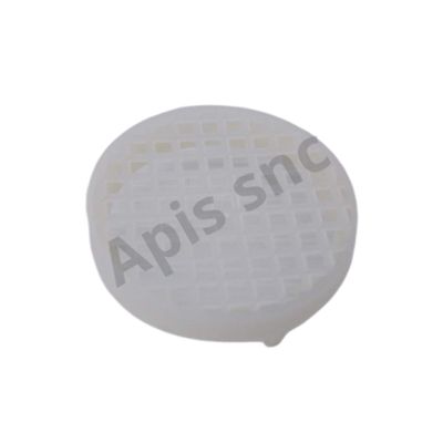 Rete marca regina Rete marca regina