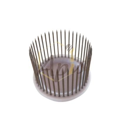 Ferma regina ad aghi Ferma regina ad aghi