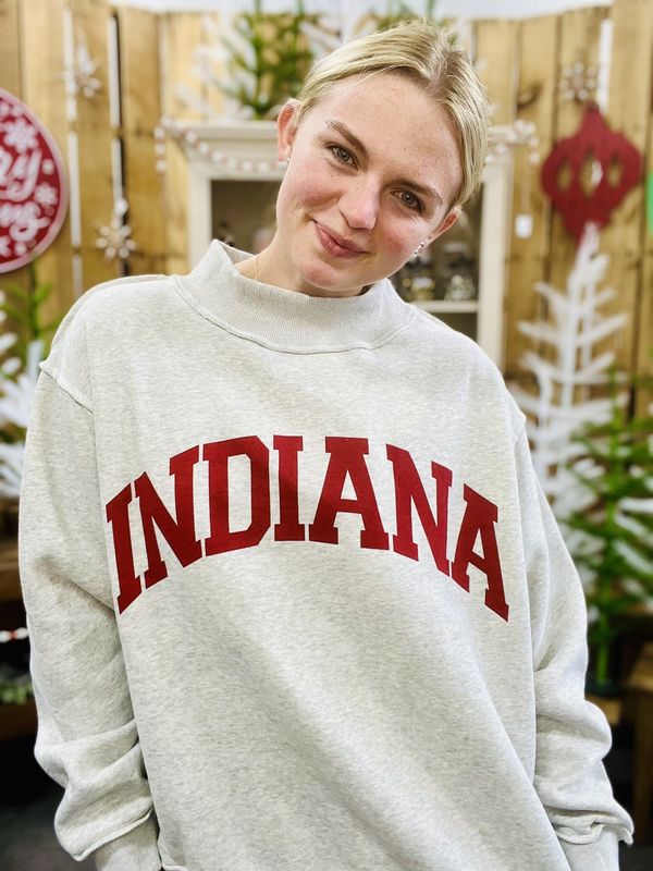 Indiana Reversible Mock Neck Pullover