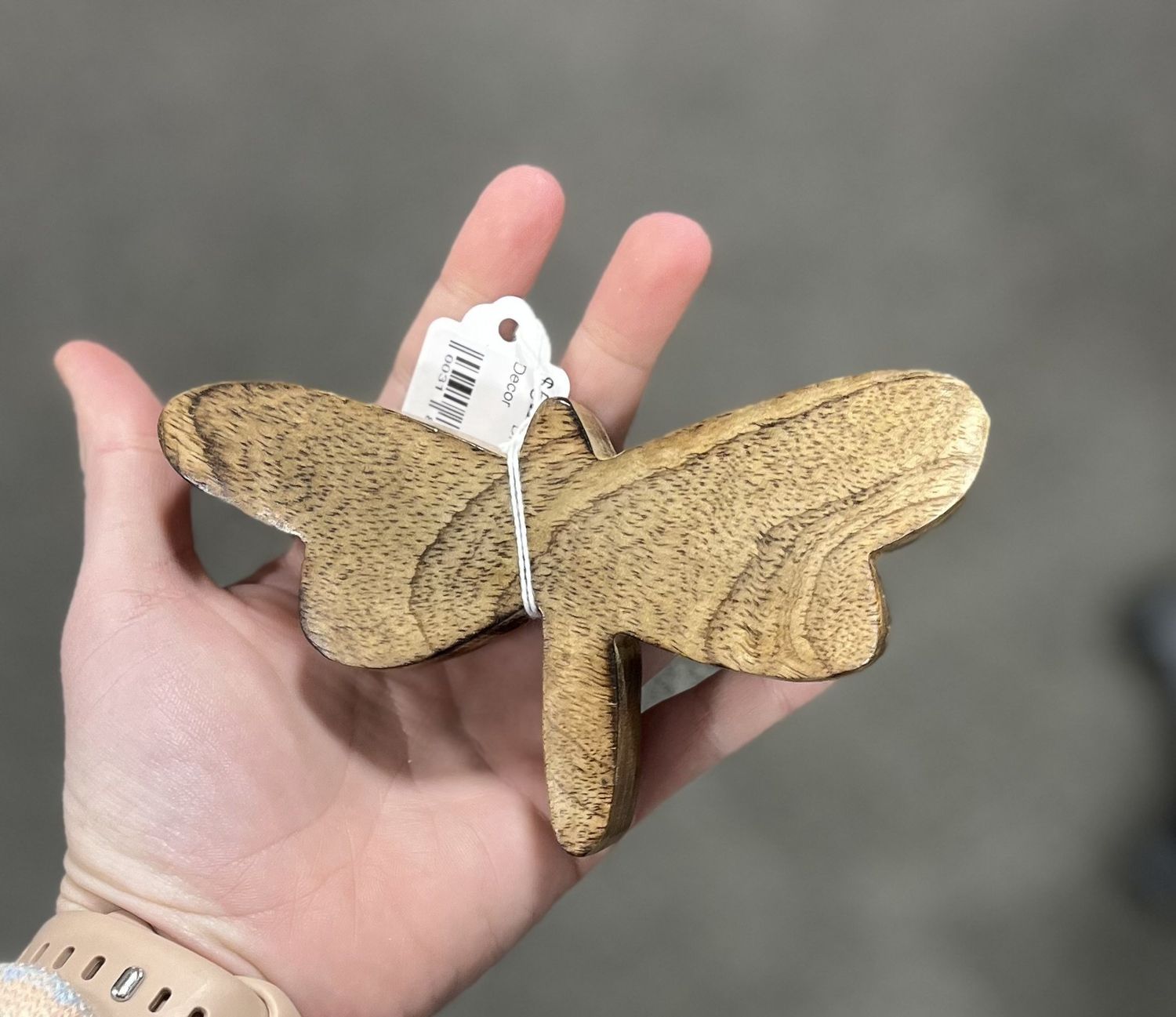 Small Dragonfly Decor