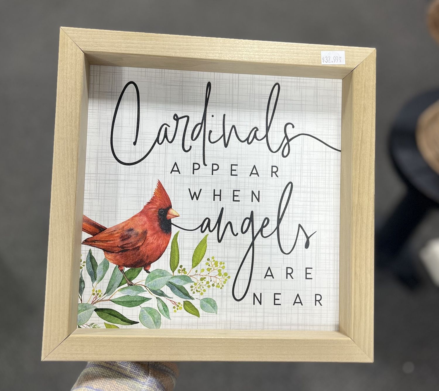 Cardinals Appear Framed Picture