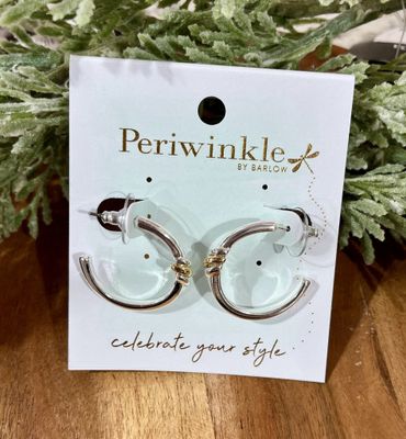 Silver Hoop with Gold Twist Accent Earrings