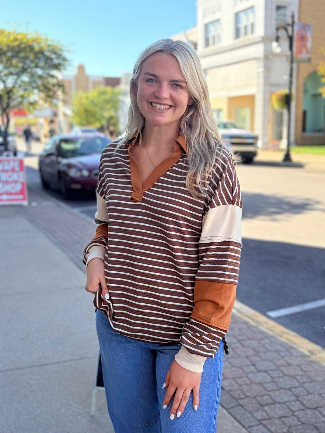 Brown Striped Collared Top