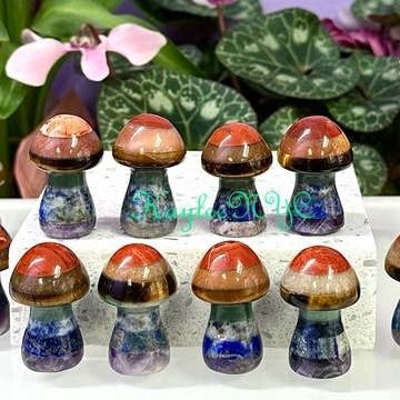 Chakra Mushroom