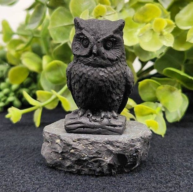 Shungite - Owl