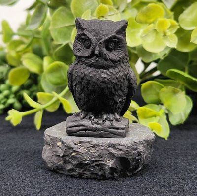 Shungite - Owl