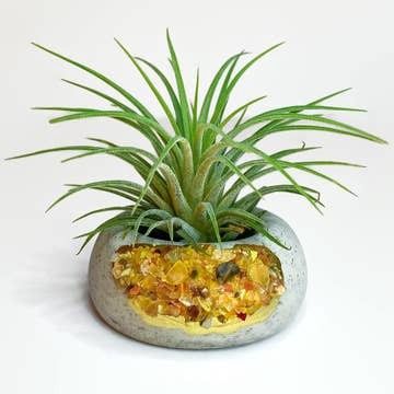 Yellow Agate Geode Planter Pot