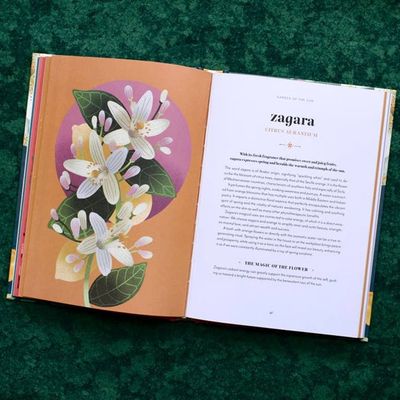 Flower Magic: the Secret Language of Flowers