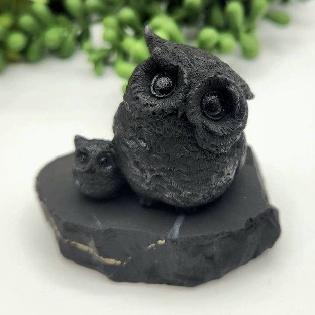 Shungite - Owl w/ Owlet