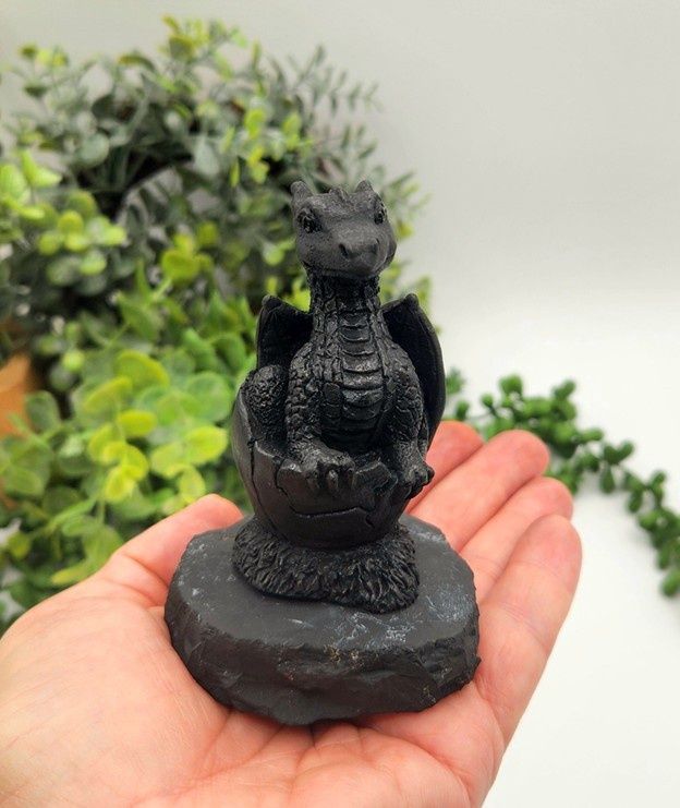 Shungite - Dragon in Egg