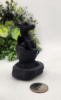Shungite - Dragon in Egg
