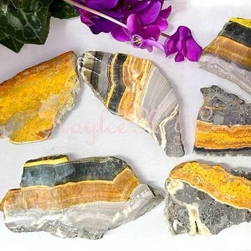 Bumble Bee Jasper Slab
