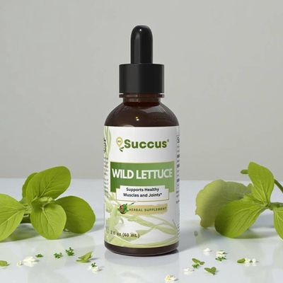 Wild Lettuce Tincture