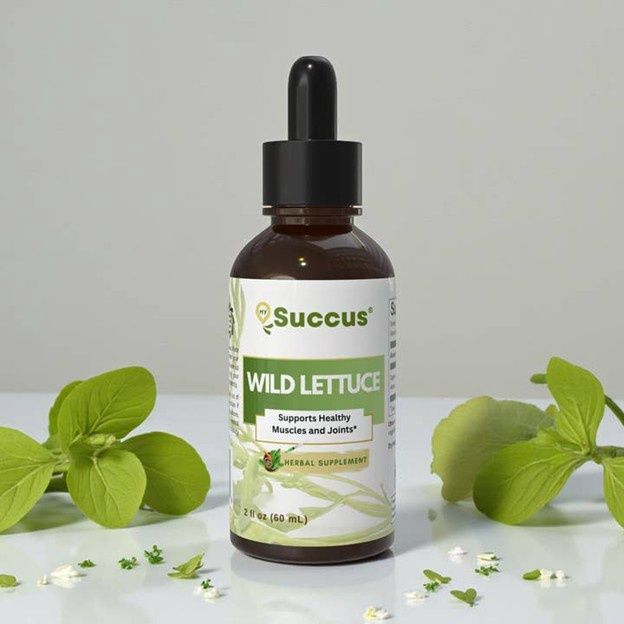 Wild Lettuce Tincture