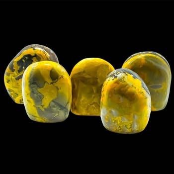 Bumble Bee Jasper Freeform Standing
