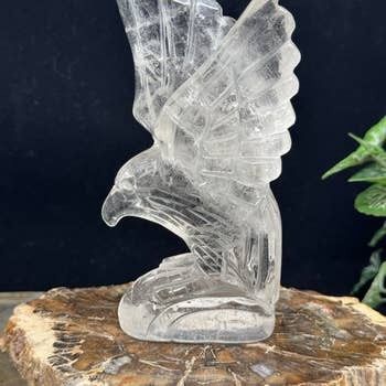 Clear Quartz Eagle 5.3 Inch